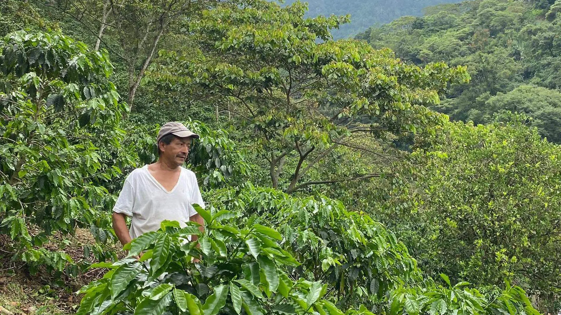 efrain ganador premio yarda